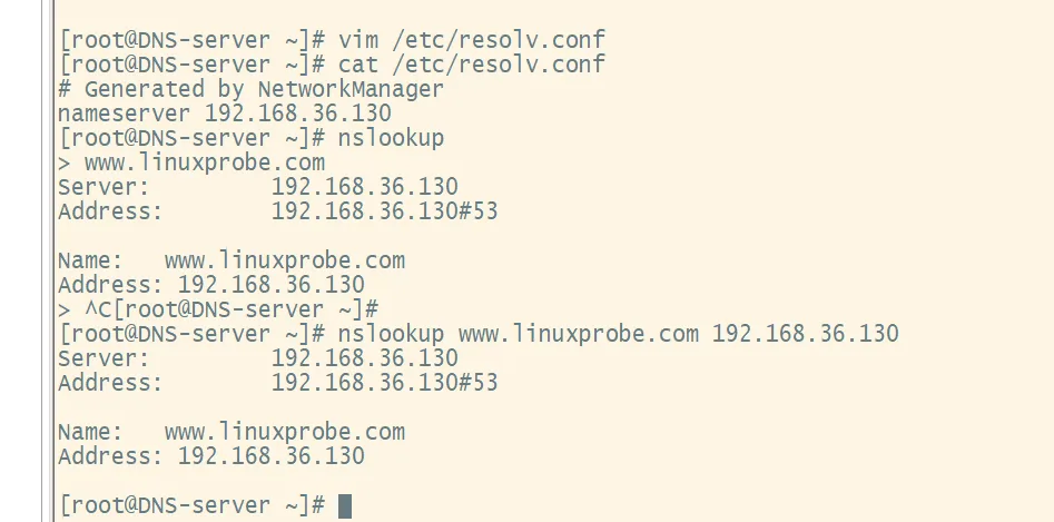 DNS 正向解析测试:nslookup www.linuxprobe.com 返回 192.168.36.130